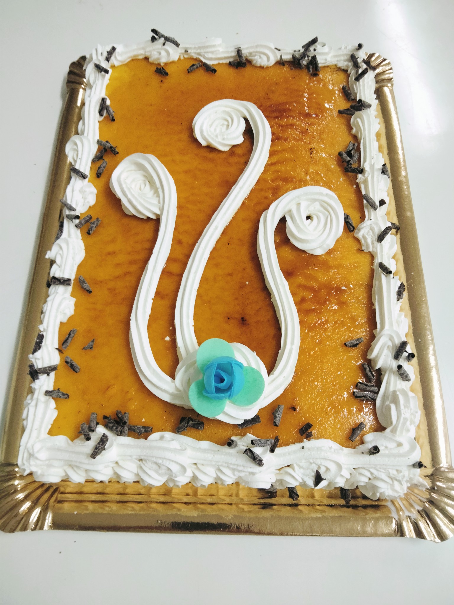 485693960_122226871424083858_4535425324942655486_n